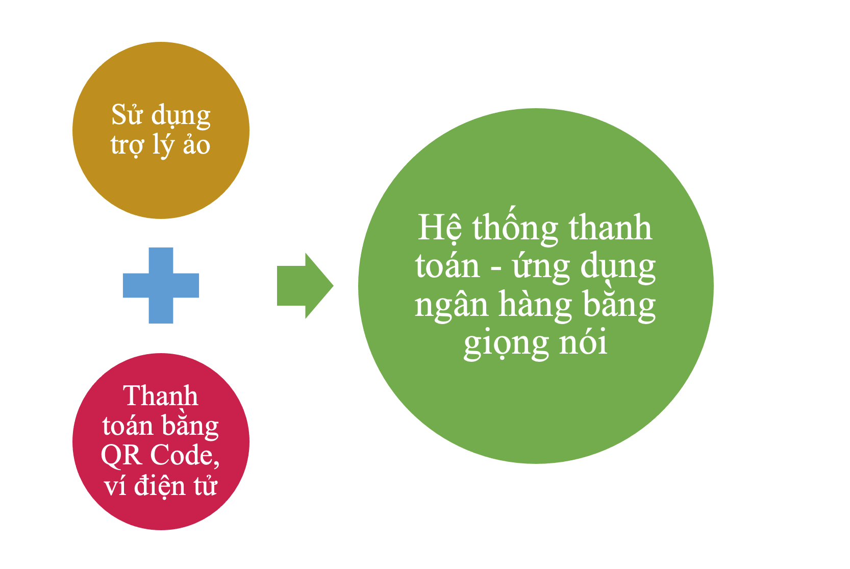 VoicePay - Thanh toán bằng giọng nói 48 Nhu Cau Su Dung Voice Payment