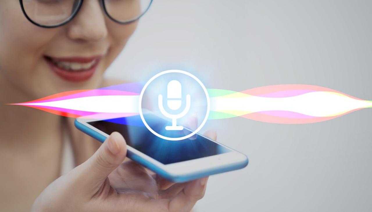 VoicePay - Thanh toán bằng giọng nói 49 Voice Pay