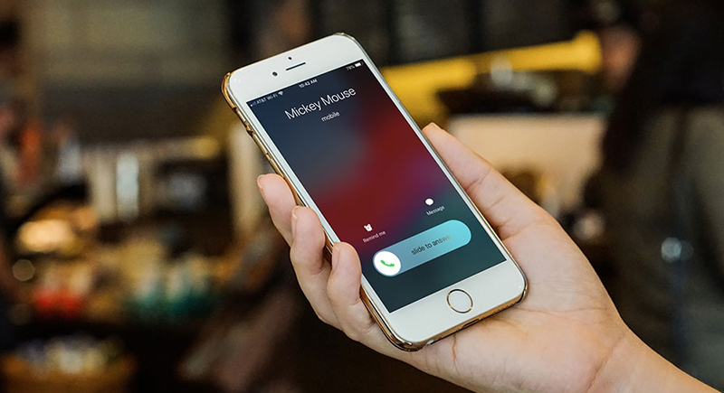 Voice Brandname